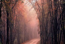 【仁寿红娘婚介公司哪家好？惊喜不藏，好缘分都藏在专业里！】